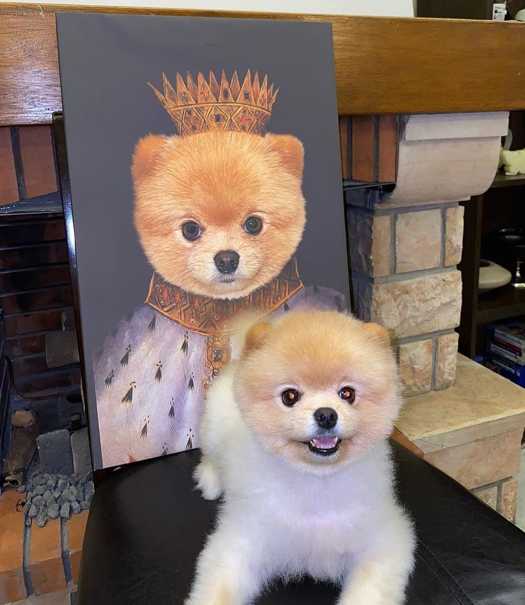 Why Pet Art?