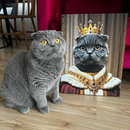 Royal