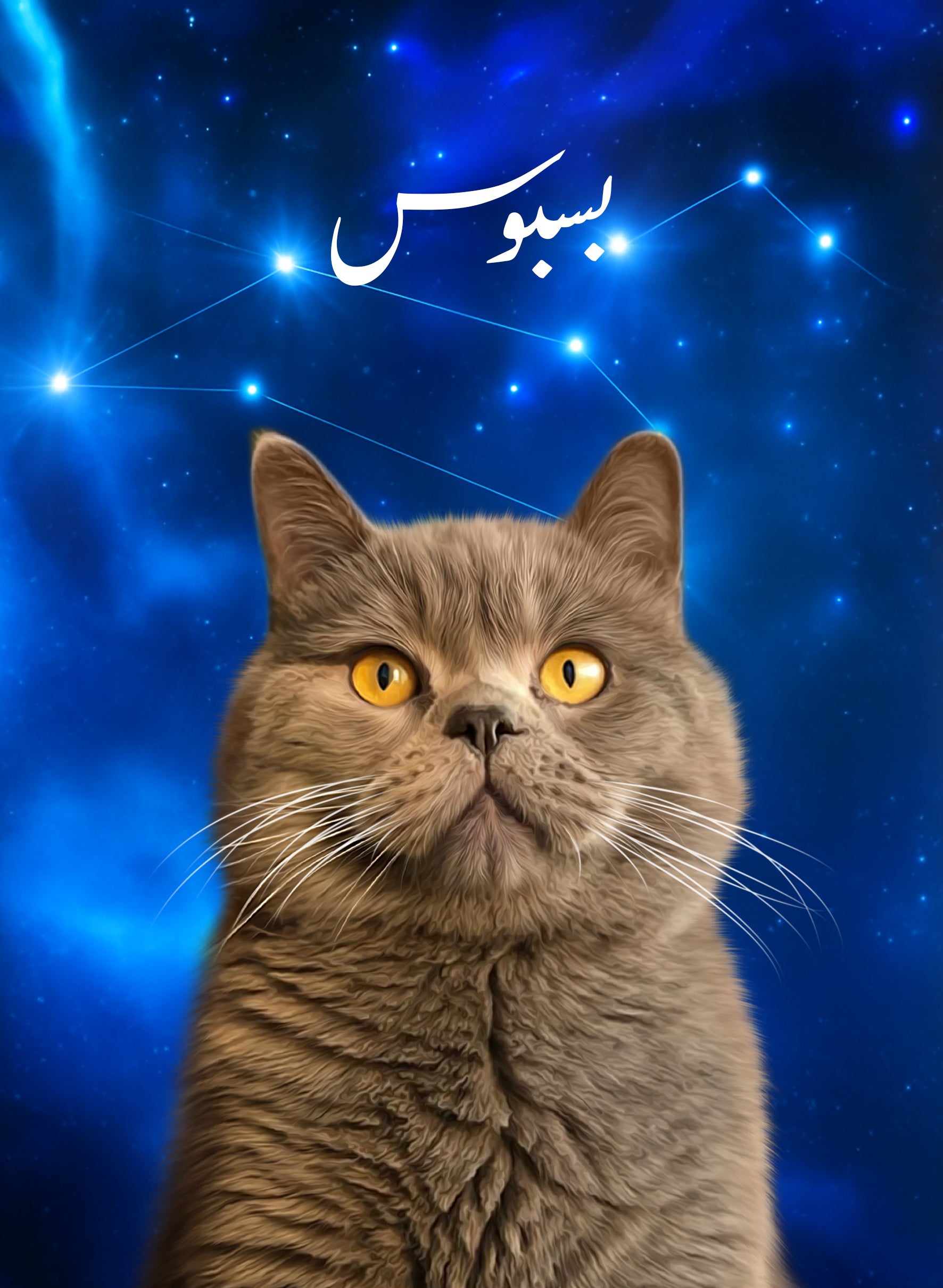 Night Light LED Pet Portrait