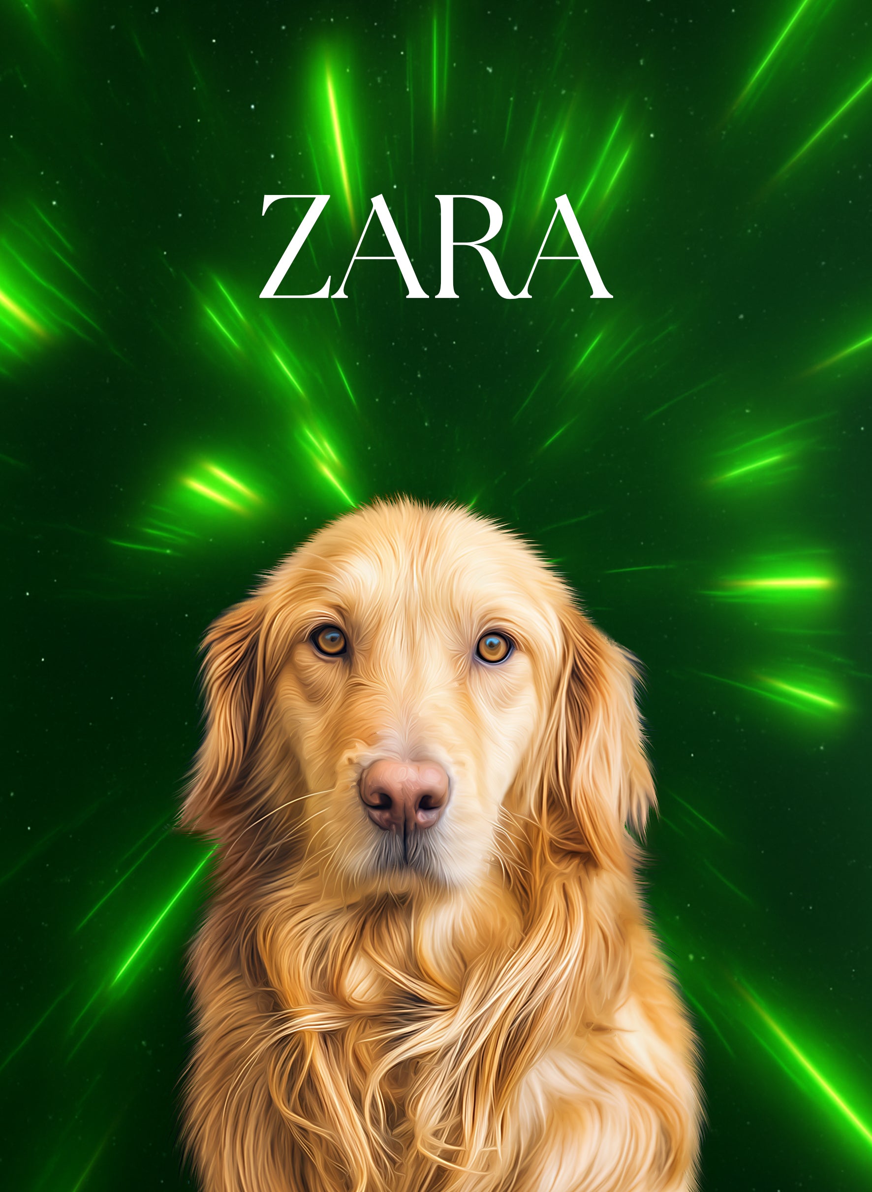 Night Light LED Pet Portrait