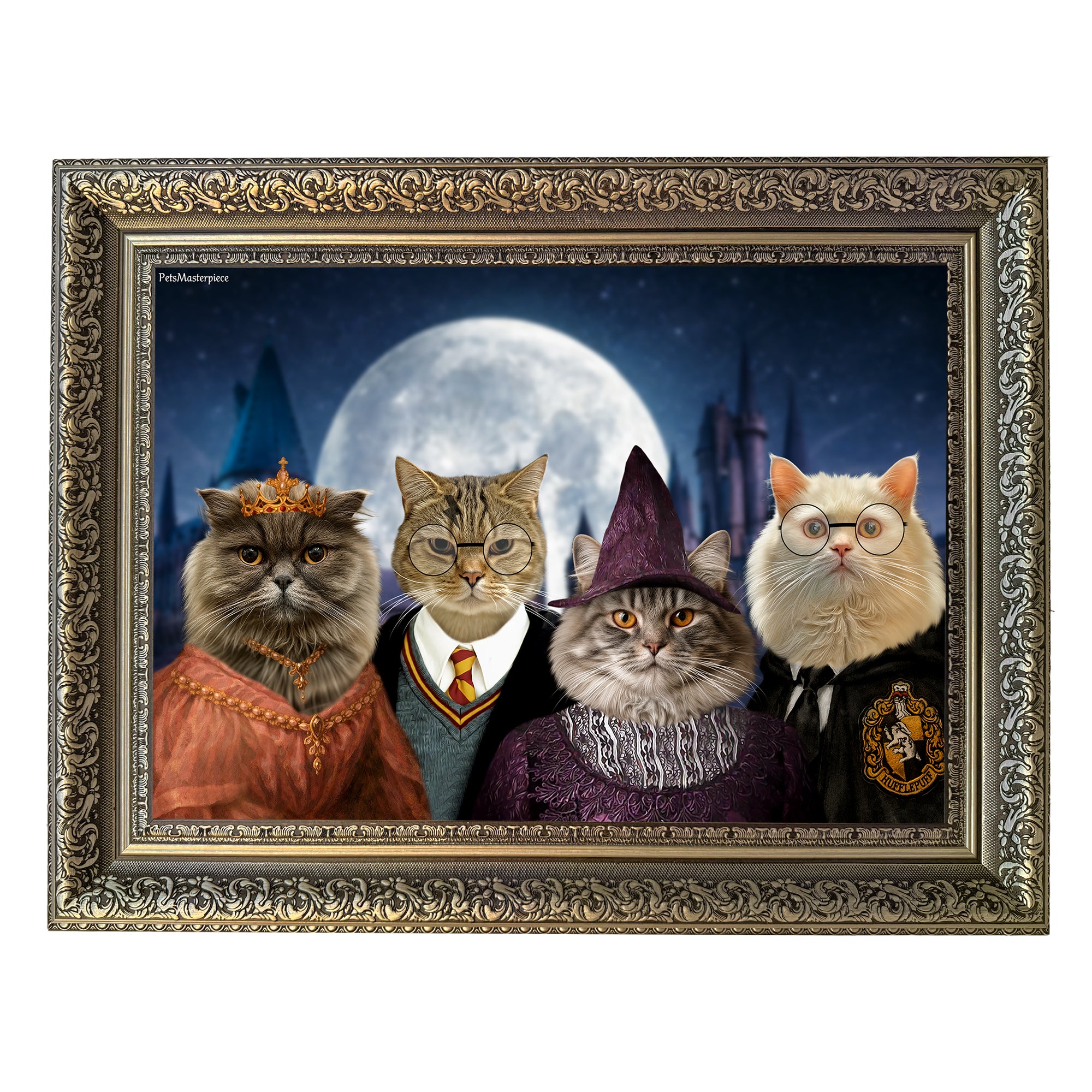 The Midnight Academy