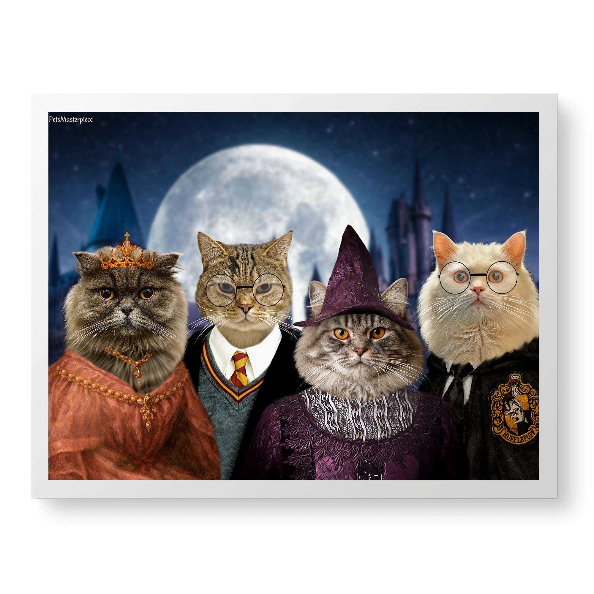 The Midnight Academy