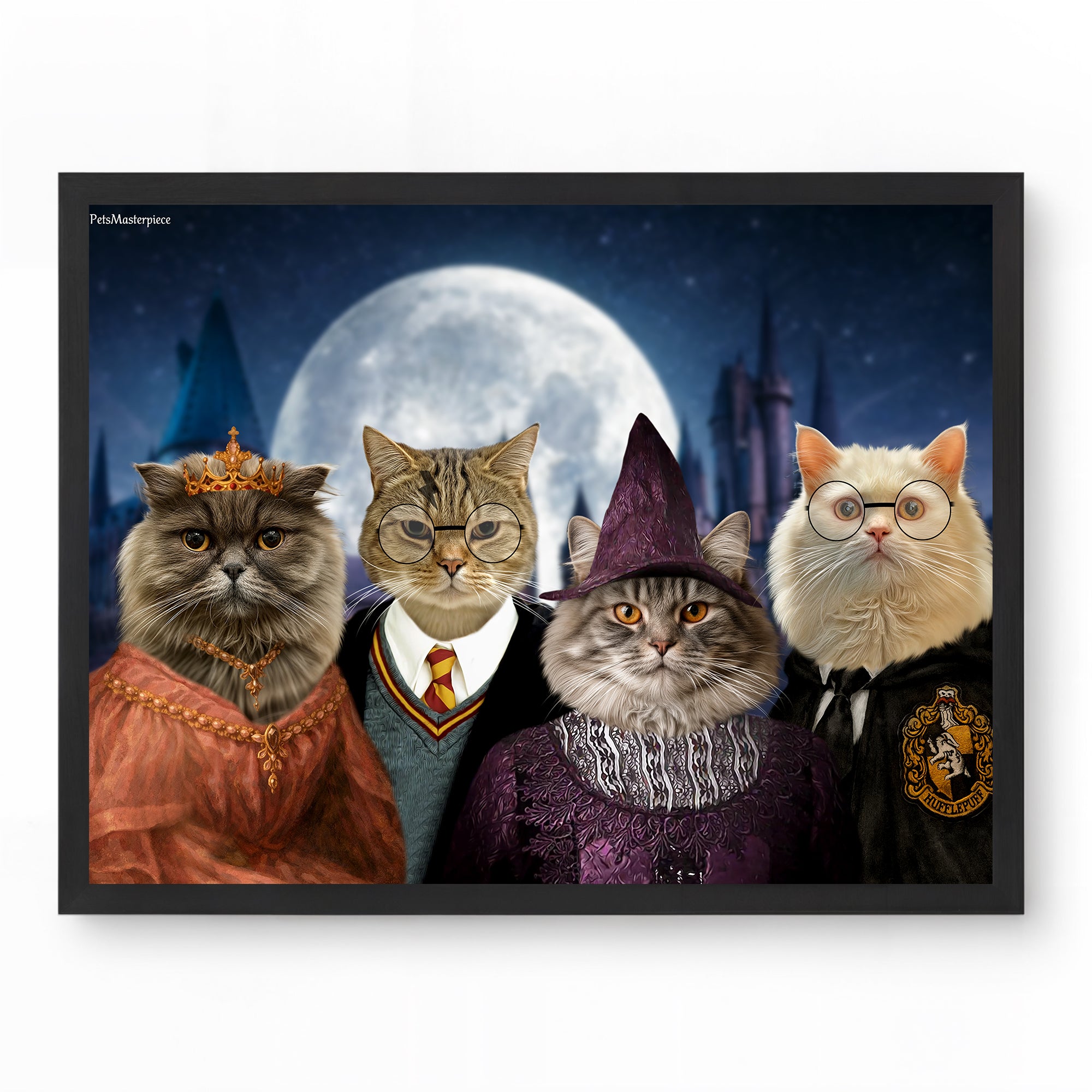 The Midnight Academy